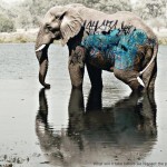 biodiversity-and-biosafety-awareness-elephant