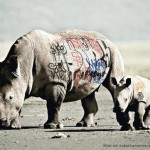 biodiversity-and-biosafety-awareness-rhinoceros