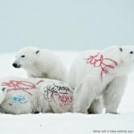 biodiversity-and-biosafety-awareness-white-bear